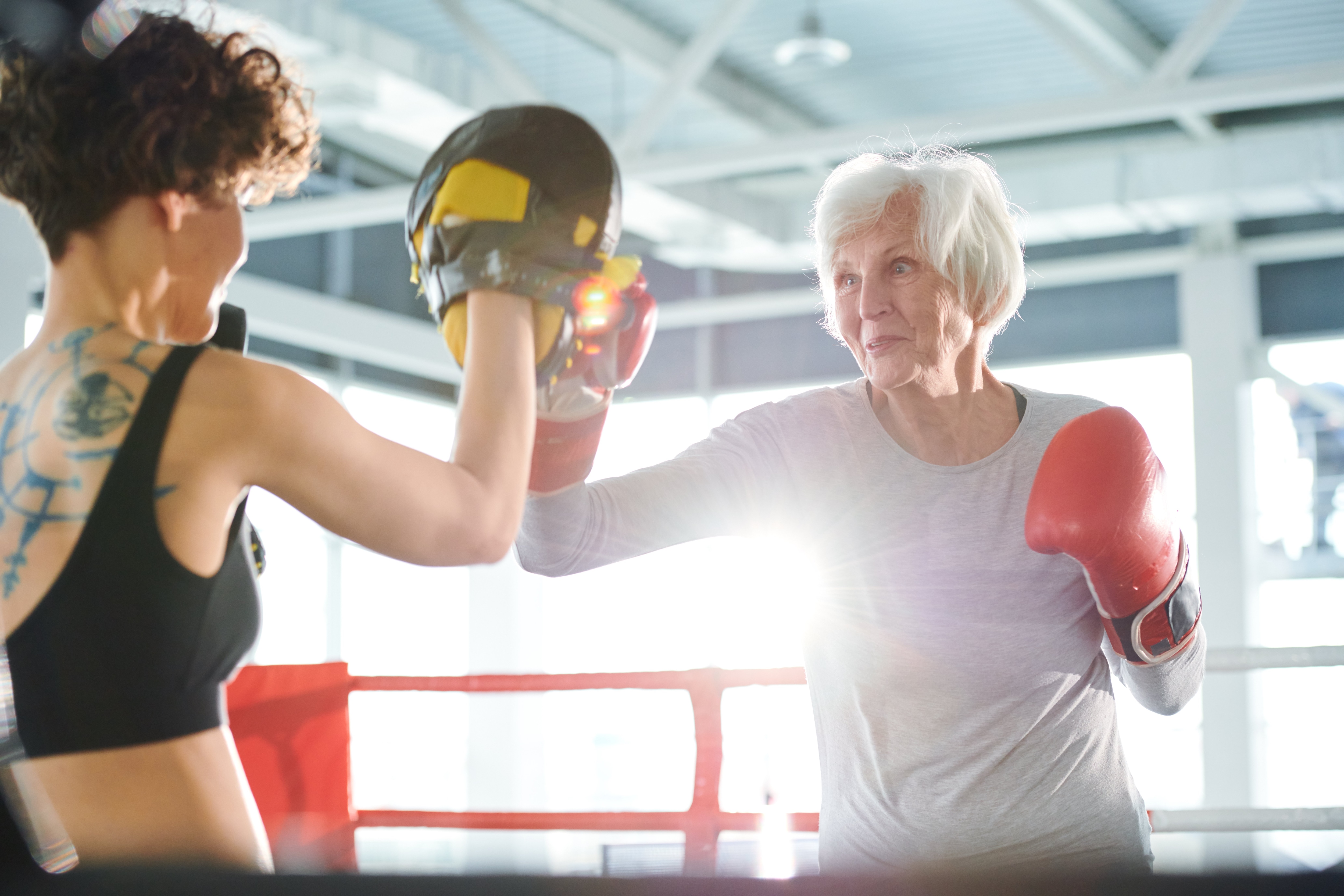 rock steady boxing